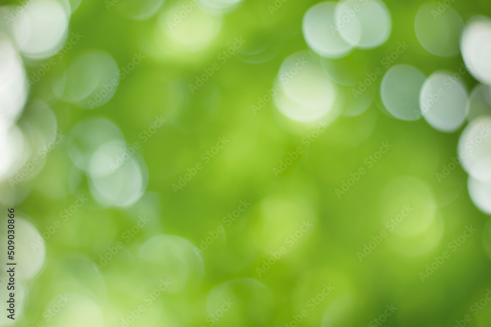 Nature blurred Green Spring Background