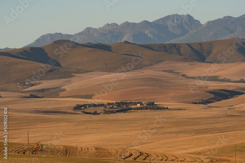 Caledon, Western Cape, South Africa. 2022.  The wheatlands area of the Overberg region close to Caledon and the Riversonderend mountain range. photo