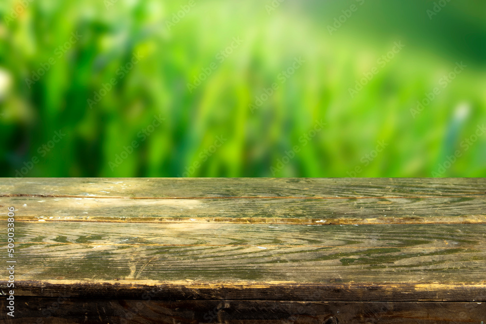 Empty wood plank table top with blur park green nature background bokeh light, Mock up for display or montage of product,Banner or header for advertise on social media and Spring and Summer concept Empty wood plank table top with blur park green nature background bokeh light, Mock up for display or montage of product,Banner or header for advertise on social media and Spring and Summer concept