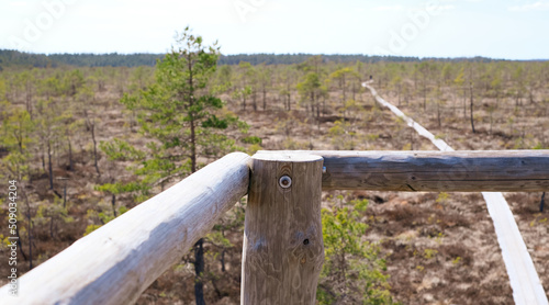 A wooden path in the Soomaa National Park in Estonia among the forest and marshland on a clear day
