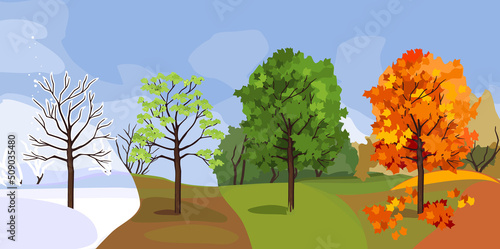 Maple tree at four seasons: spring, summer, autumn, winter. Landscape with conceptual change of seasons
