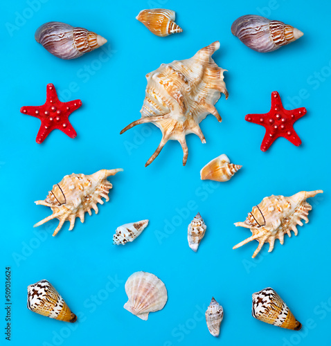 seashells seamles pattern on blue background