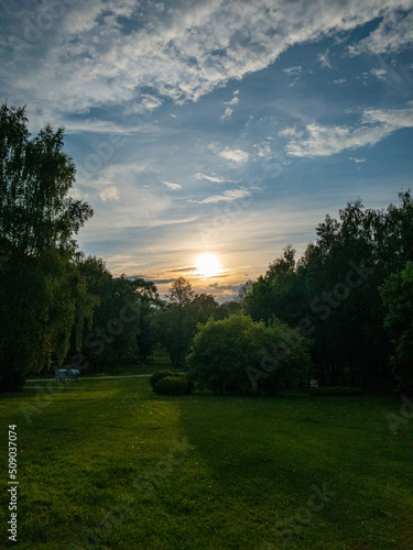 sunset in the park