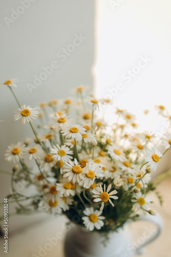 bouquet of chamomile flowers in a white vase close-up. chamomile macro. chamomile flowers with bokeh background