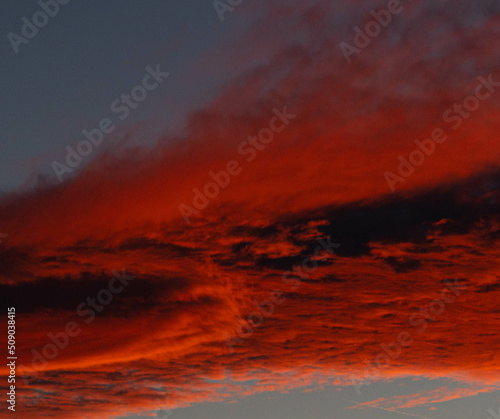 Fototapeta Naklejka Na Ścianę i Meble -  Red clouds in the sky during sunset
