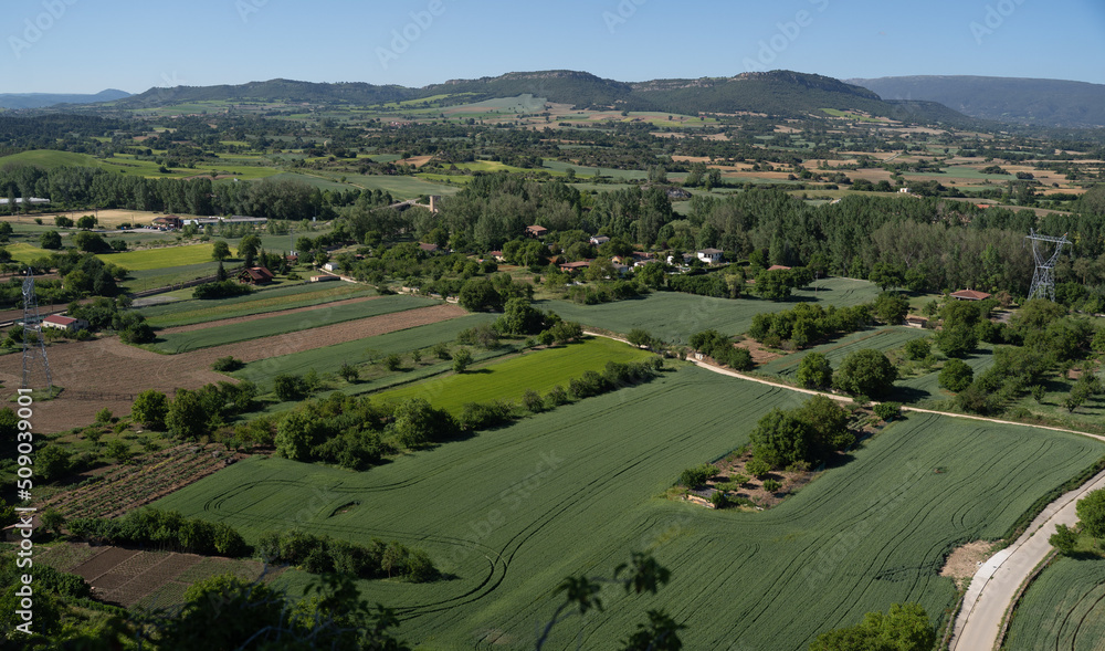 Fototapeta premium aerial view of the green fields of Castilla, Spain