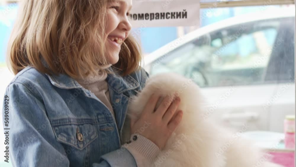 a small and happy girl with a white and fluffy Spitz puppy. a small and happy girl with a white and fluffy Spitz puppy.