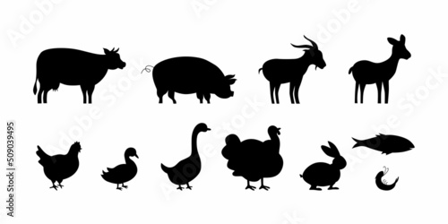 Meat symbols set for product packaging label design, butchery shop, menu in restaurant. Vector stock illustration isolated on white background. 