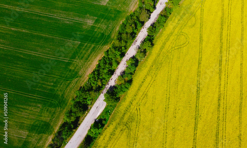 Aerial view of a rural road with fields of rapeseed and wheat