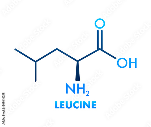 Icon with leucine formula. Essential Amino Acid molecular formula photo