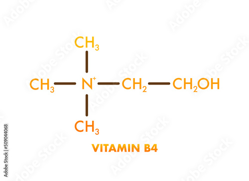 Vitamin b4. Vitamin B4 Icon structure. Vector illustration