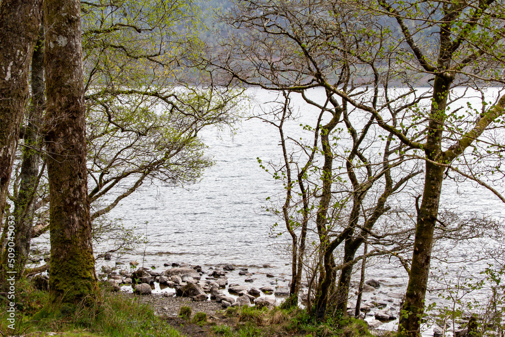 Landscape view of a Scottish loch through a treelined pebble beach Landscape view of a Scottish loch through a treelined pebble beach