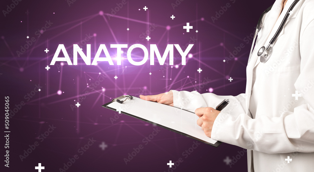 Doctor fills out medical record Doctor fills out medical record