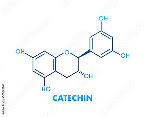 Catechin formula. Icon with green catechin formula