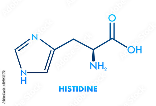 Histidine l-histidine, his, H amino acid molecule. Vector illustration
