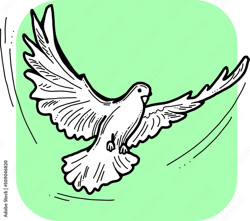 Obraz premium White dove is symbol of peace, hope, love in the world. Flying pigeon like holy spirit brings freedom, joy, grace. Hand drawn retro vintage vector illustration. Old style comics cartoon line drawing.