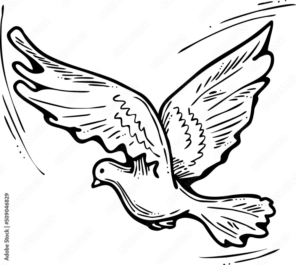 White dove is symbol of peace, hope, love in the world. Flying pigeon like holy spirit brings freedom, joy, grace. Hand drawn retro vintage vector illustration. Old style comics cartoon line drawing. White dove is symbol of peace, hope, love in the world. Flying pigeon like holy spirit brings freedom, joy, grace. Hand drawn retro vintage vector illustration. Old style comics cartoon line drawing.