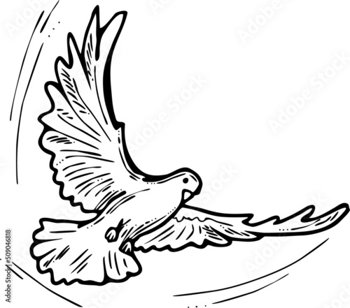 White dove is symbol of peace, hope, love in the world. Flying pigeon like holy spirit brings freedom, joy, grace. Hand drawn retro vintage vector illustration. Old style comics cartoon line drawing.