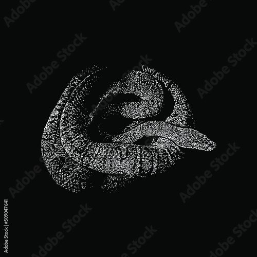 Jamaican Boa hand drawing vector illustration isolated on black background