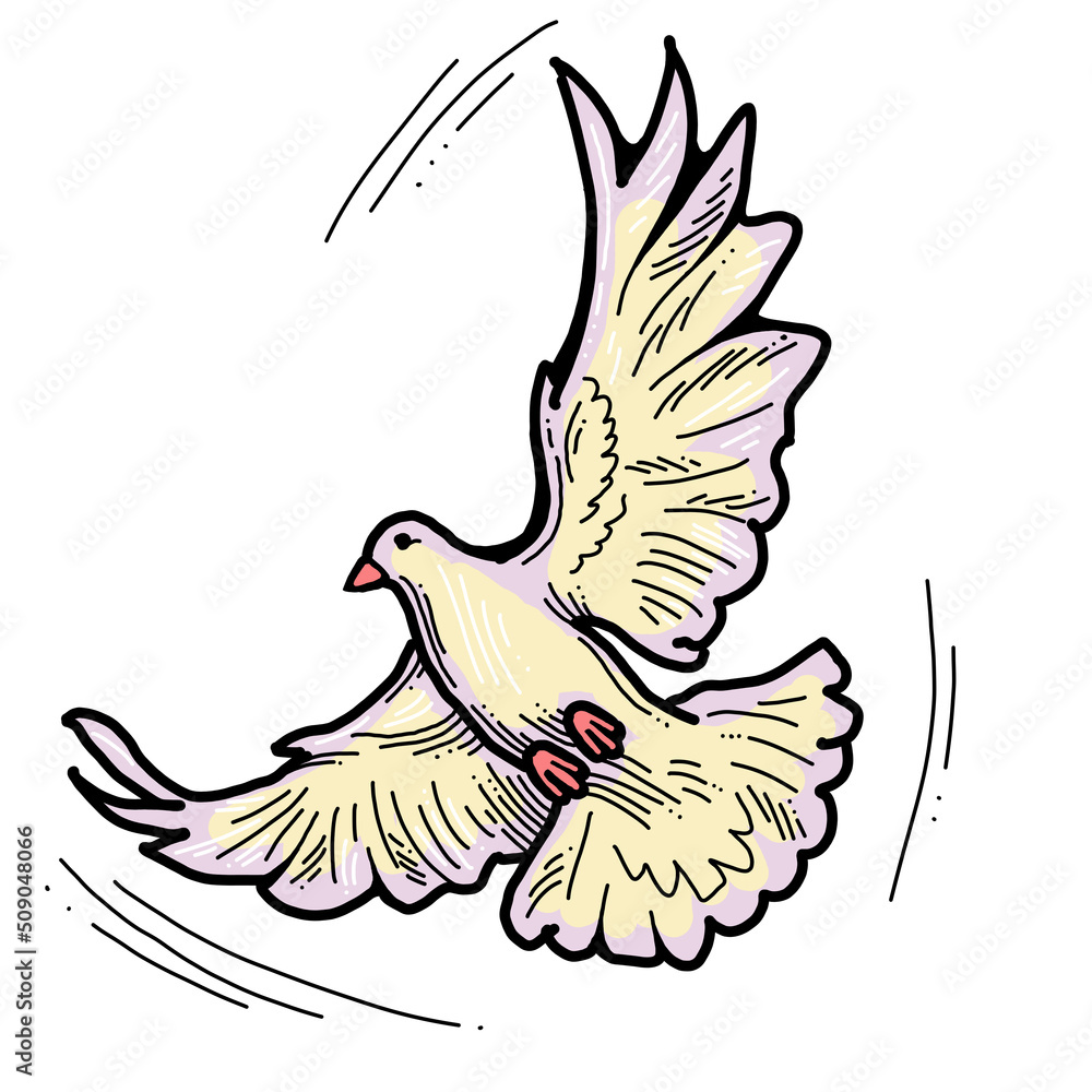 Obraz premium White dove is symbol of peace, hope, love in the world. Flying pigeon like holy spirit brings freedom, joy, grace. Hand drawn retro vintage illustration. Old style comics cartoon line drawing.
