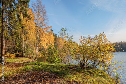 autumnal lake near the forest