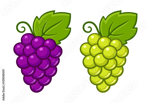 Cartoon red and white grape illustration