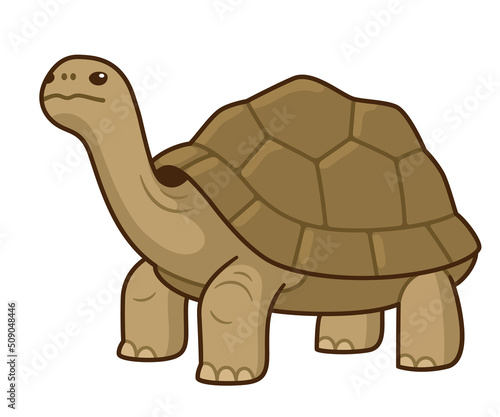 Galapagos giant tortoise cartoon drawing photo