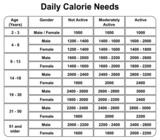 Daily Calories Needs. Daily Calories chart. Colorful Symbols. Vector illustration.