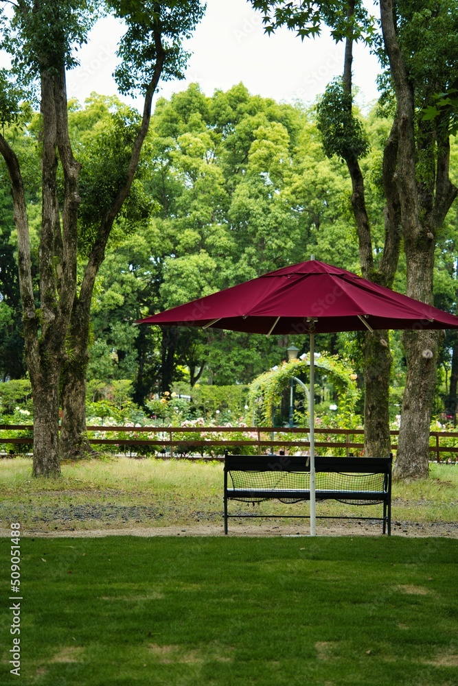 Forest park Forest park