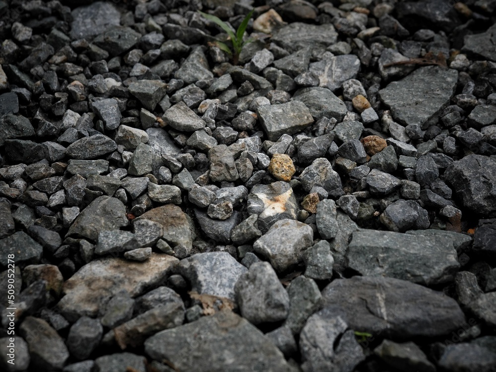 stones on the beach stones on the beach