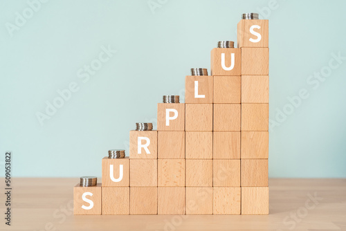 Принти на полотні 余剰・余分のイメージ｜「SURPLUS」と書かれたブロックとコイン