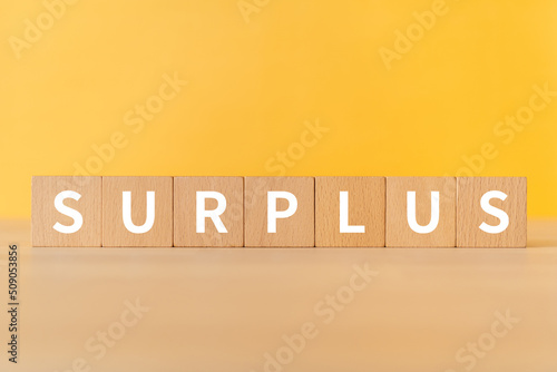 Schilderij op canvas 余剰・余分のイメージ｜「SURPLUS」と書かれたブロック