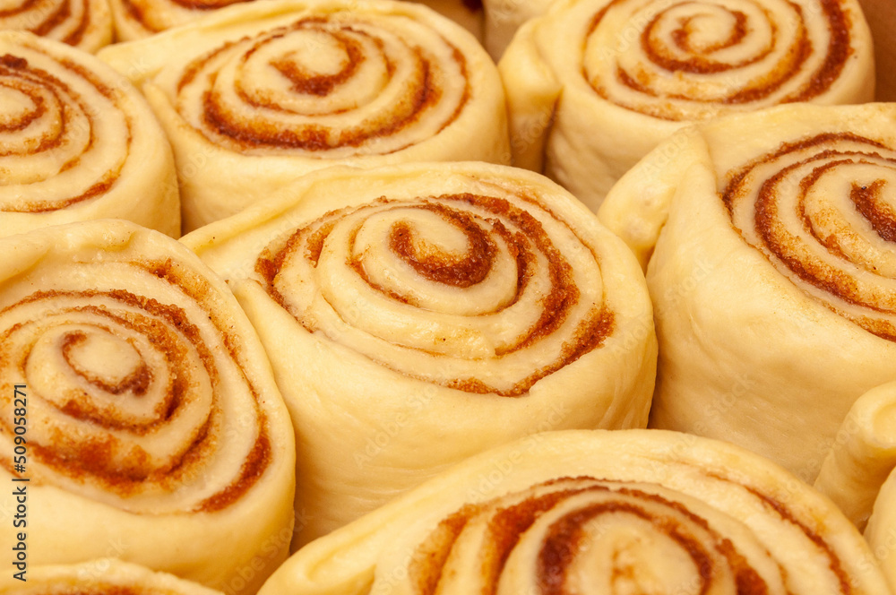 Blanks of cinnamon rolls dough are on greased parchment paper. Blanks of cinnamon rolls dough are on greased parchment paper.