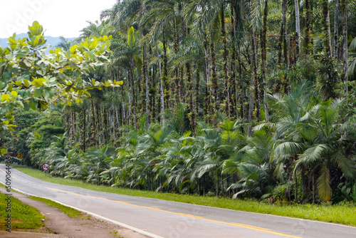 Estrada da Graciosa, serra do mar paranaense, estrada histórica que liga a Cidade de Curitiba ao litoral. photo