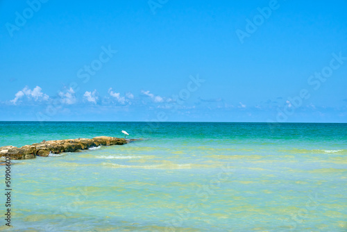 Fototapeta Naklejka Na Ścianę i Meble -  beach on holbox island, quintana roo with a bird on a group of rocks in the sea. mexican mayan riviera beach. Turquoise blue and emerald green ocean.