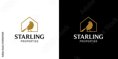 Modern and elegant combination of starling icon housing logo design 2