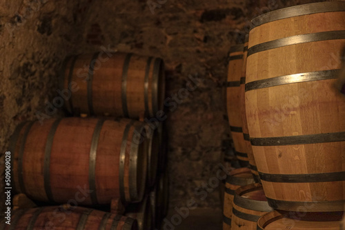 Photos wine wood barrels in vineyards