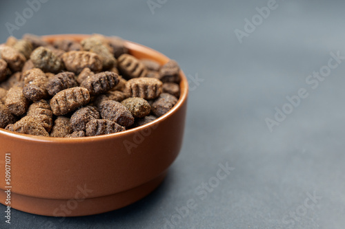 Dry dog food in a brown clay bowl against a gray background. The pellets are oval. Food for dogs prone to overweight. Useful pet food concept. Close-up view. Selective focus