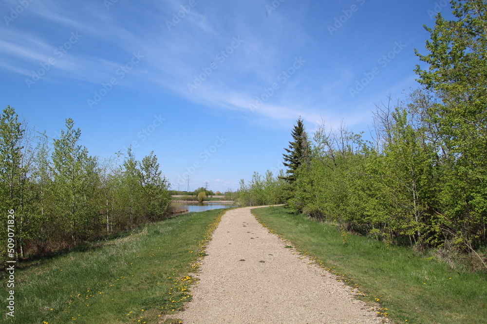Spring On The Trail, Pylypow Wetlands, Edmonton, Alberta