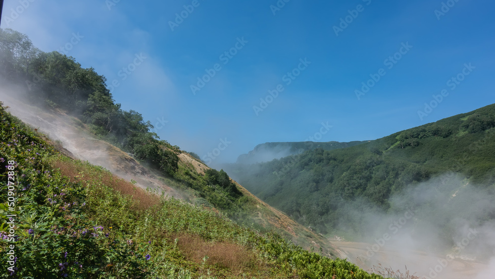 Green vegetation and wildflowers grow on the hills. Steam from the hot springs rises into the blue sky. Kamchatka. Valley of Geysers