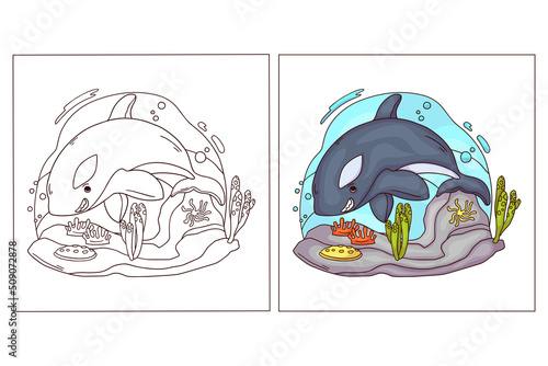 Hand drawn cute ocean animal for coloring page Sea Blue Orca