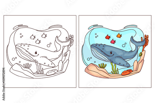 Hand drawn cute ocean animal for coloring page Sea Blue Whale