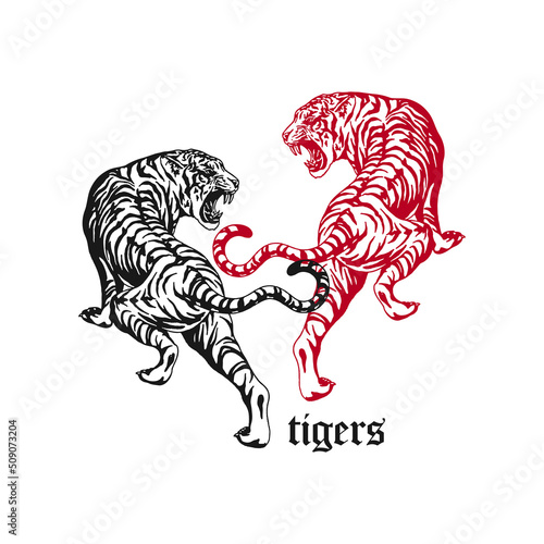 vector illustration of two tigers detail