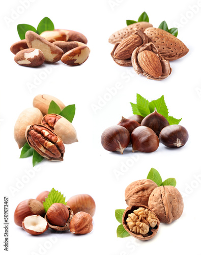 Collage of nuts