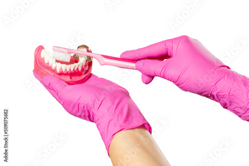 Dentist with toothbrush and layout of the human jaw.