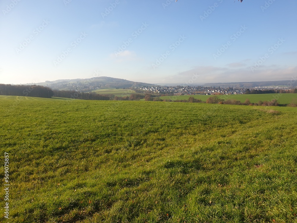 Obraz premium rice field