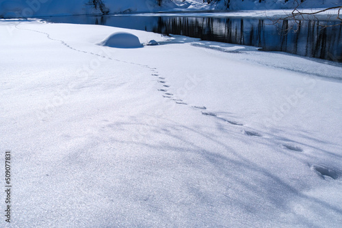 凍る岸辺 © Snoopy walk