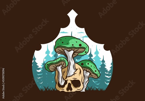 Mushroom growing on human skull illustration