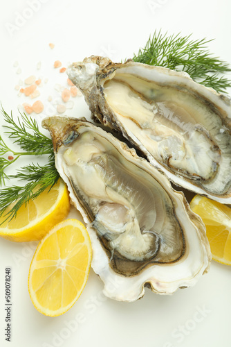 Concept of delicious seafood, oysters, close up