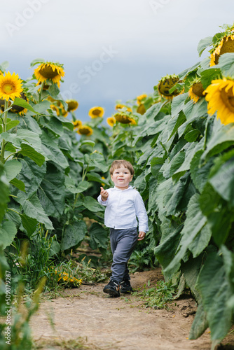 Portrait of a charming baby boy with a sunflower on a summer field. The concept of children's happiness